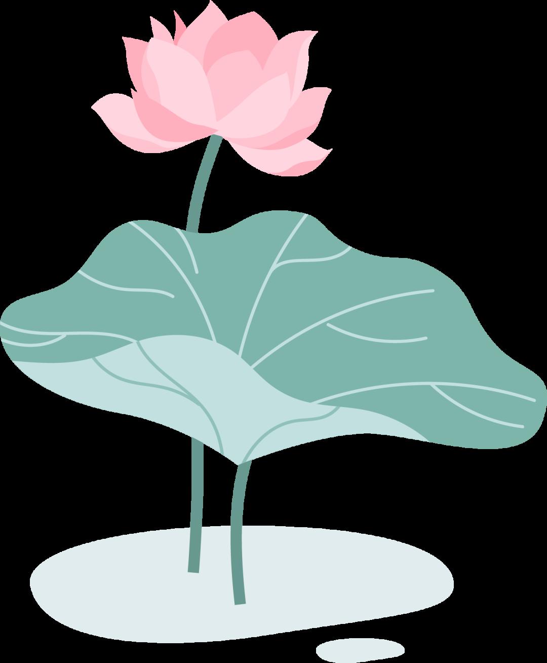 DƬ